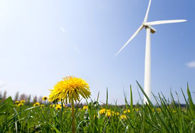 污染治理与修复